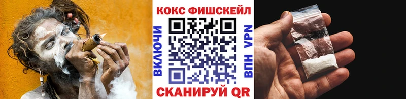 где найти наркотики  Кушва  COCAIN Fish Scale 