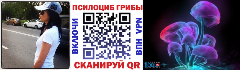 Галлюциногенные грибы Cubensis как найти закладки Кушва