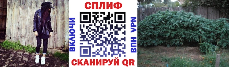 Бошки марихуана индика Кушва